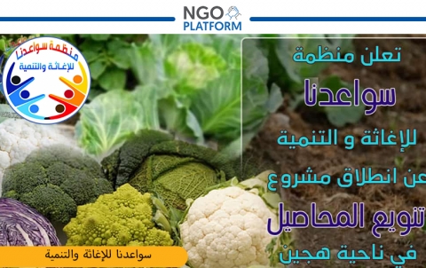 Diversifying Agricultural Crops in Al-Hajin Area