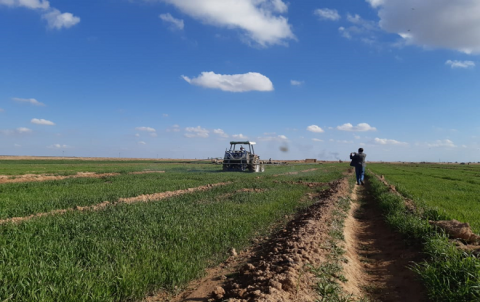 Controlling Noxious Weeds