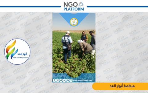 حملة توعوية واسعة للفلاحين بضرورة التصدي للآفات الزراعية ودودة القطن 