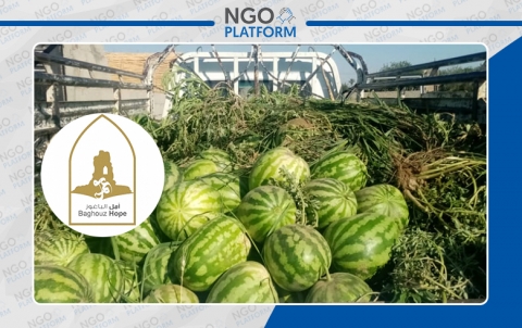 مشروع دعم الخضار