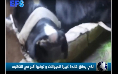 Animal Feed Development Project to Rich-in-Fat Fodder