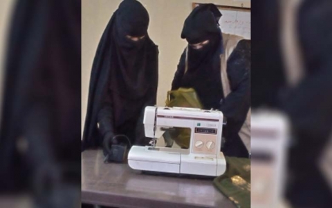  منطقة الصور