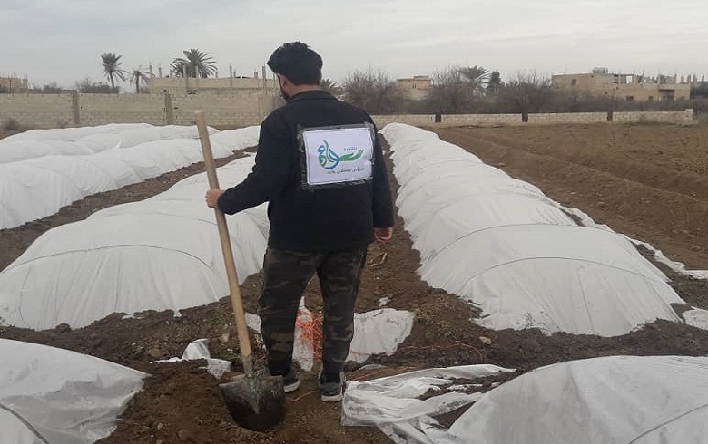 زراعة الخضروات