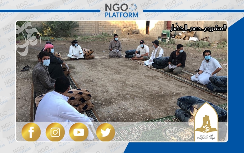 مشروع دعم الخضار